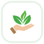 Environmental Sustainability